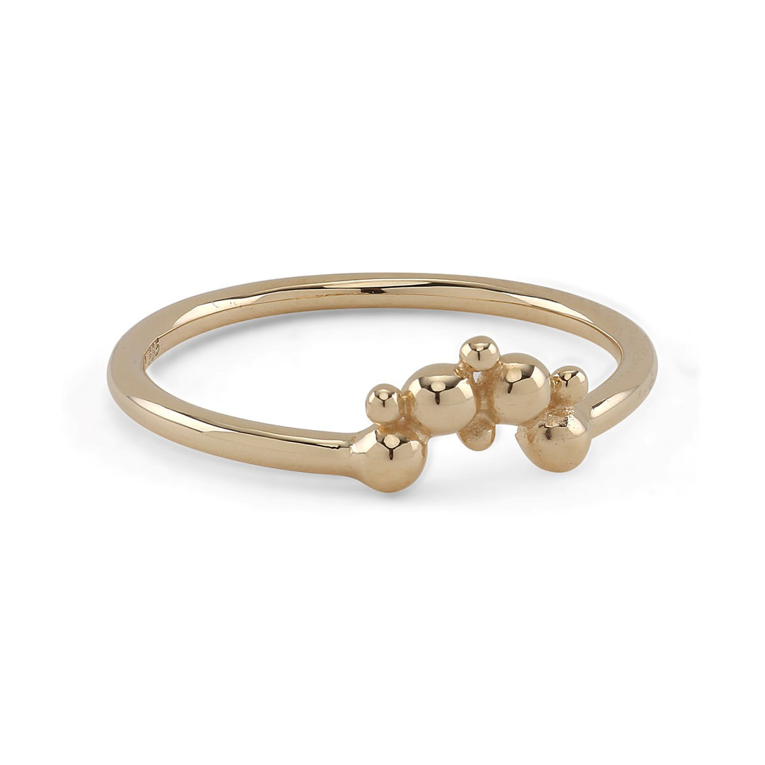 Lady Luck Ring - 14 Karat Gold