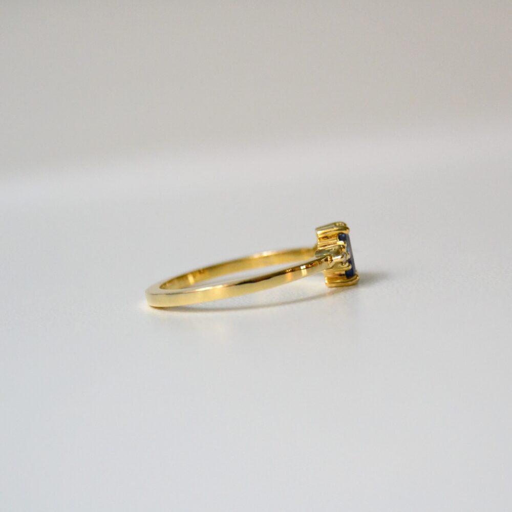 Bahu Nil Ring - 18 Karat Gold White, Bi Color DIamond, Sapphires